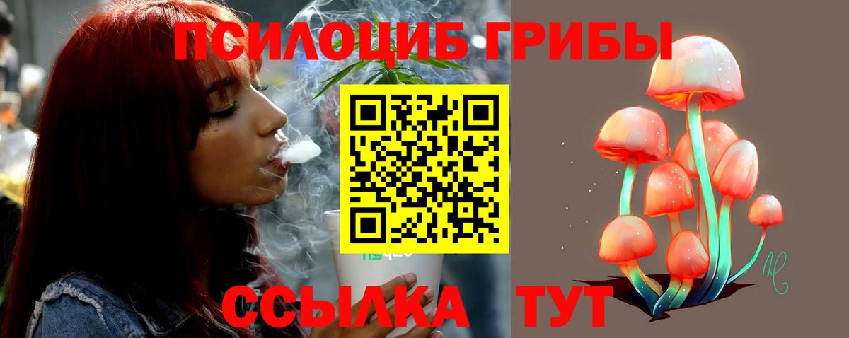 Ачинск  Псилоцибиновые грибы Psilocybe  Вход с VPN 